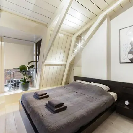 Adam's Loft Apartment